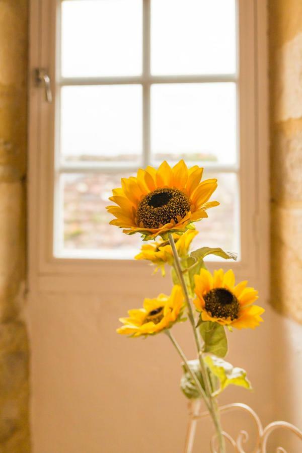 Au Coeur De Beynac, Une Maison De Caractere Avec Jardin Terrasse Luaran gambar